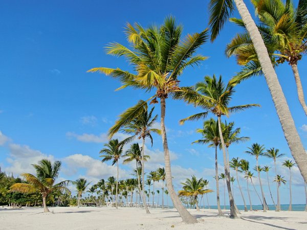 Discover Interactive Journey Through British Theater History: Top Destinations for Tourists